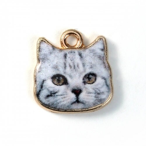 Cat Charm 4