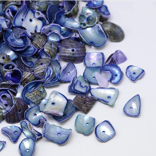 Shell beads, Dyed Natural bead chips, a mix of drilled and undrilled shell shards
