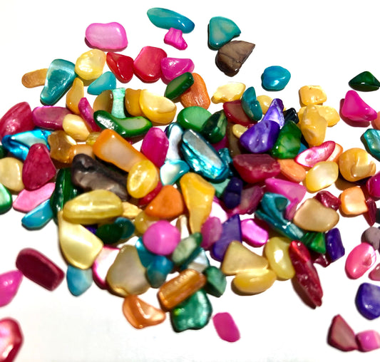 Natural freshwater shell bead chips, undrilled shell chard, assorted colors for crafts NO HOLE