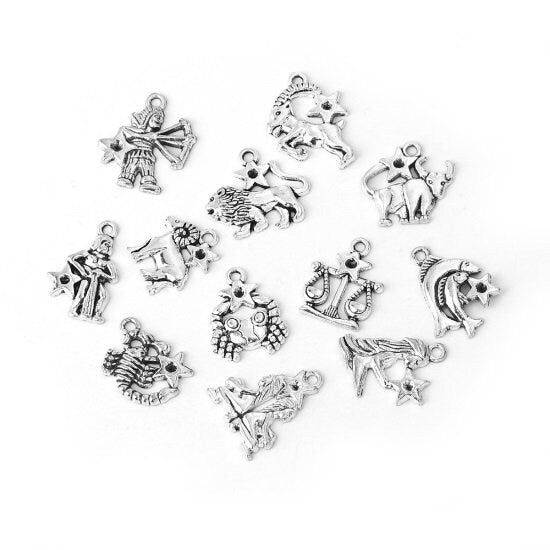 Zodiac charm Set , all 12 star signs astrology charms , silver birth sign set