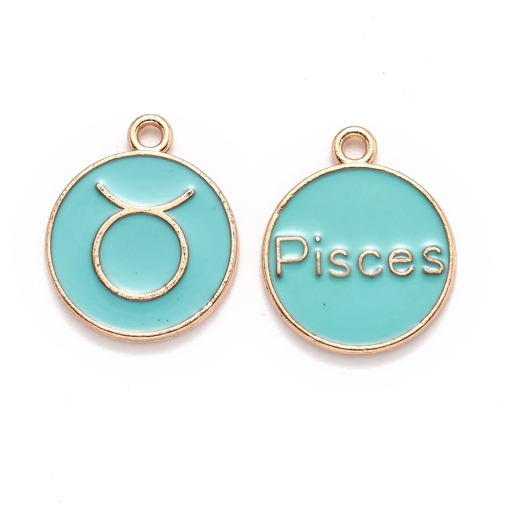 Zodiac Enamel pale teal charm set, 12 double-sided charm with two different images on each side